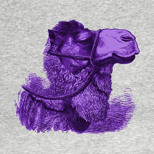 Purple Camel Illustration by RaizePeace